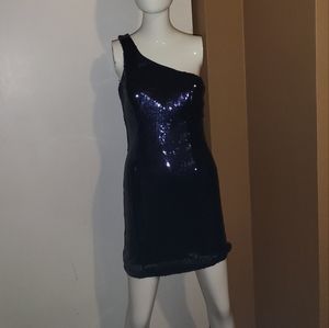 Full Body Sequin Mini Dress